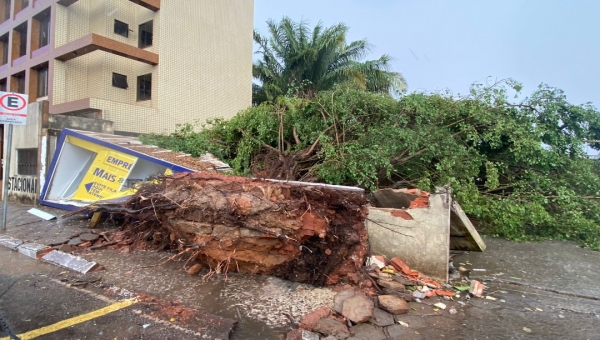 Vento forte derruba árvore sobre muro e correspondente do Banco do Brasil em Rio Branco